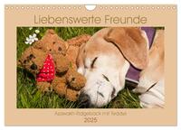 Liebenswerte Freunde - Azawakh-Ridgeback mit Teddys (Wandkalender 2025 DIN A4 quer), CALVENDO Monatskalender
