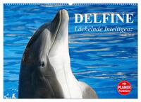 Vorderes Coverbild Delfine - Lächelnde Intelligenz (Wandkalender 2026 DIN A2 quer), CALVENDO Monatskalender