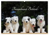 Traumhund Bobtail (Wandkalender 2025 DIN A2 quer), CALVENDO Monatskalender