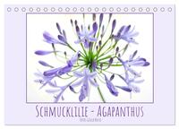 Schmucklilie - Agapanthus (Tischkalender 2026 DIN A5 quer), CALVENDO Monatskalender