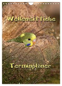 Wellensittiche Terminplaner (Wandkalender 2026 DIN A4 hoch), CALVENDO Monatskalender