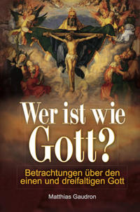 Vorderes Coverbild Wer ist wie Gott?