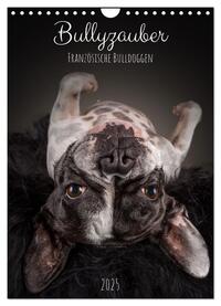 Bullyzauber - Französische Bulldoggen (Wandkalender 2025 DIN A4 hoch), CALVENDO Monatskalender