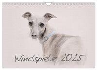 Windspiele 2025 (Wandkalender 2025 DIN A4 quer), CALVENDO Monatskalender