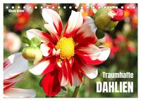 Traumhafte Dahlien (Tischkalender 2025 DIN A5 quer), CALVENDO Monatskalender