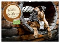 Käthe - ein Boxer mit Charme (Wandkalender 2026 DIN A2 quer), CALVENDO Monatskalender