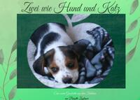 Zwei wie Hund und Katz Garfield &amp; Rocky