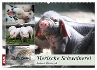Tierische Schweinerei (Wandkalender 2025 DIN A2 quer), CALVENDO Monatskalender