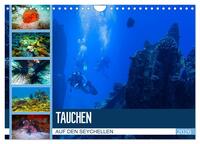 Tauchen auf den Sychellen (Wandkalender 2026 DIN A4 quer), CALVENDO Monatskalender