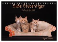 Süße Stubentiger - Katzenkinder (Tischkalender 2026 DIN A5 quer), CALVENDO Monatskalender