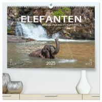 Elefanten - Baden, Planschen, Rüsseln (hochwertiger Premium Wandkalender 2025 DIN A2 quer), Kunstdruck in Hochglanz