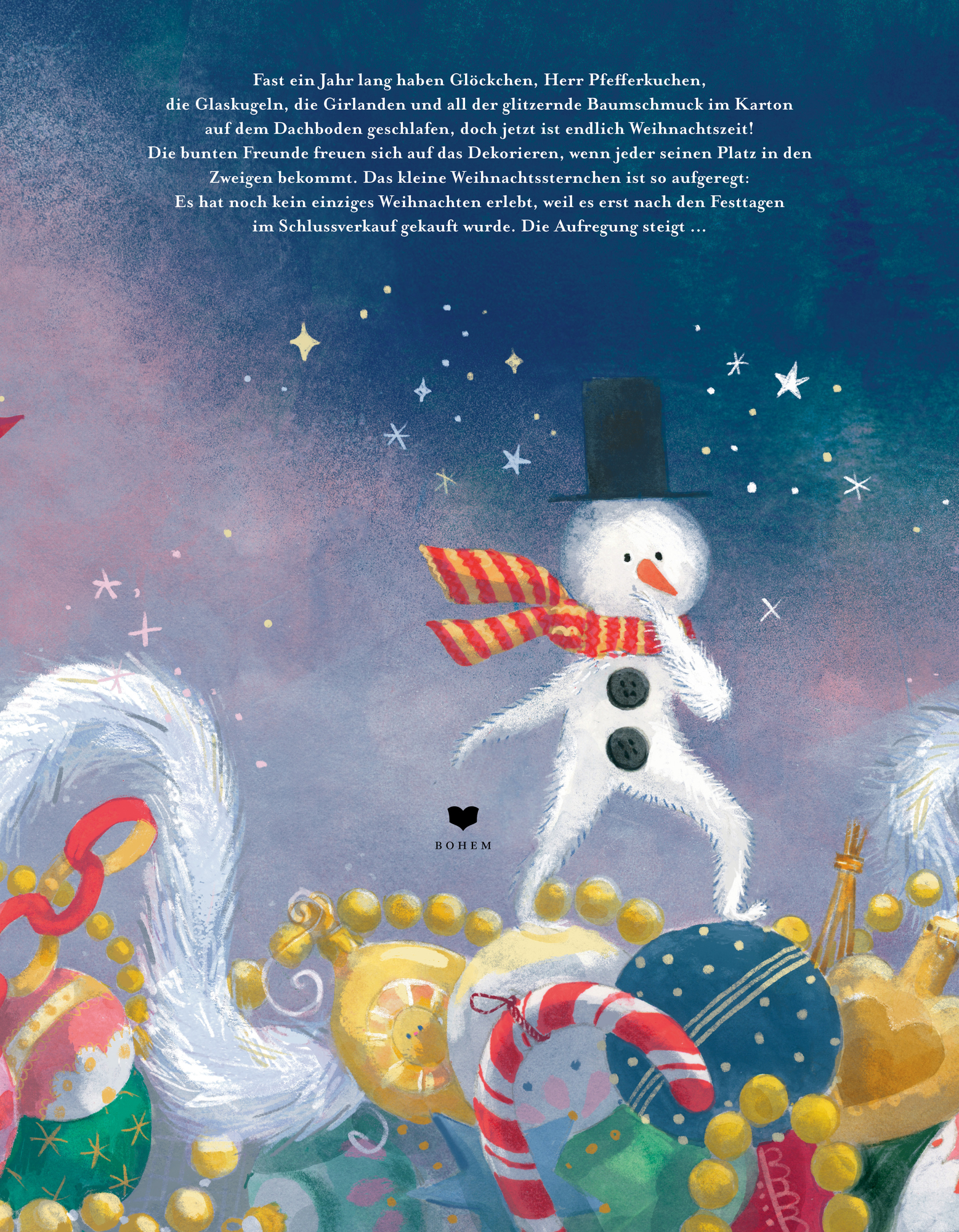 Rückseitencover Das kleine Weihnachtssternchen