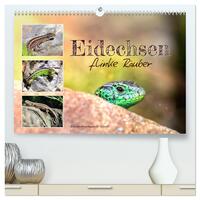 Eidechsen, flinke Räuber (hochwertiger Premium Wandkalender 2025 DIN A2 quer), Kunstdruck in Hochglanz