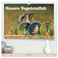 Unsere Vogelvielfalt: Ein Schatz zum Entdecken und Schützen (hochwertiger Premium Wandkalender 2026 DIN A2 quer), Kunstdruck in Hochglanz