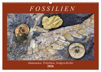 Fossilien - Ammoniten, Trilobiten, Erdgeschichte (Wandkalender 2026 DIN A2 quer), CALVENDO Monatskalender