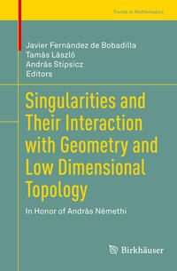Singularities and Their Interaction with Geometry and Low Dimensional Topology