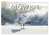 Möwen am Meer (Tischkalender 2025 DIN A5 quer), CALVENDO Monatskalender