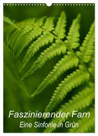 Faszinierender Farn - Eine Sinfonie in Grün (Wandkalender 2026 DIN A3 hoch), CALVENDO Monatskalender