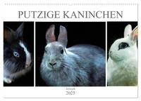 Putzige Kaninchen - Artwork (Wandkalender 2025 DIN A2 quer), CALVENDO Monatskalender