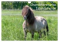 Vorderes Coverbild Charakterstarke Islandpferde (Wandkalender 2025 DIN A4 quer), CALVENDO Monatskalender