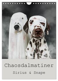 Chaosdalmatiner Sirius und Snape (Wandkalender 2025 DIN A4 hoch), CALVENDO Monatskalender