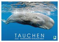 Tauchen: Wunderbares tiefblaues Meer (Wandkalender 2026 DIN A2 quer), CALVENDO Monatskalender