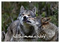 Willkommen Wolf (Wandkalender 2025 DIN A2 quer), CALVENDO Monatskalender