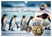 Kaiserpinguine - bezaubernde Frackträger (Wandkalender 2025 DIN A4 quer), CALVENDO Monatskalender