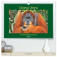 Orang Utans Sumatras Waldmenschen (hochwertiger Premium Wandkalender 2025 DIN A2 quer), Kunstdruck in Hochglanz