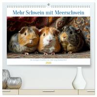 Mehr Schwein mit Meerschwein (hochwertiger Premium Wandkalender 2026 DIN A2 quer), Kunstdruck in Hochglanz