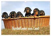 Hundekinder vom Land (Wandkalender 2025 DIN A3 quer), CALVENDO Monatskalender