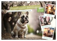 Französische Bulldoggen (Wandkalender 2026 DIN A4 quer), CALVENDO Monatskalender