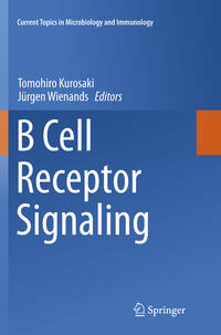B Cell Receptor Signaling