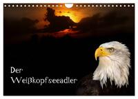 Vorderes Coverbild Der Weißkopfseeadler (Wandkalender 2025 DIN A4 quer), CALVENDO Monatskalender