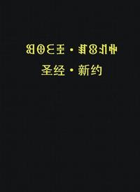 New Testament (Liangshan Yi-Nuosu /Chinese) (2nd ed.)