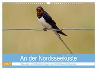 An der Nordseeküste - Wasser- und Küstenvögel fotografiert von Ostfriesenfotografie (Wandkalender 2025 DIN A3 quer), CALVENDO Monatskalender