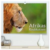 Afrikas Raubkatzen in eindrucksvollen Portraits (hochwertiger Premium Wandkalender 2025 DIN A2 quer), Kunstdruck in Hochglanz