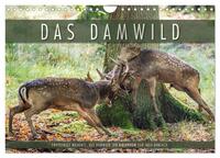 Emotionale Momente: Das Damwild. (Wandkalender 2026 DIN A4 quer), CALVENDO Monatskalender