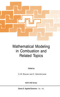 Mathematical Modeling in Combustion and Related Topics