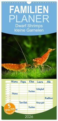 Familienplaner 2026 - Dwarf Shrimps - kleine Garnelen mit 5 Spalten (Wandkalender, 21 x 45 cm) CALVENDO