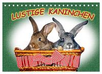 Lustige Kaninchen (Tischkalender 2026 DIN A5 quer), CALVENDO Monatskalender