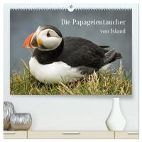 Die Papageientaucher von Island (hochwertiger Premium Wandkalender 2025 DIN A2 quer), Kunstdruck in Hochglanz