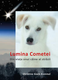 Lumina Cometei