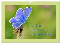 Papillons-Butterflies-Schmetterlinge (Wandkalender 2025 DIN A3 quer), CALVENDO Monatskalender