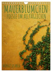 Vorderes Coverbild Mauerblümchen - Poesie im Alltäglichen als Monatsplaner (Wandkalender 2025 DIN A4 hoch), CALVENDO Monatskalender