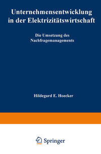 Unternehmensentwicklung in der Elektrizitätswirtschaft