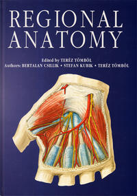 Regional Anatomy