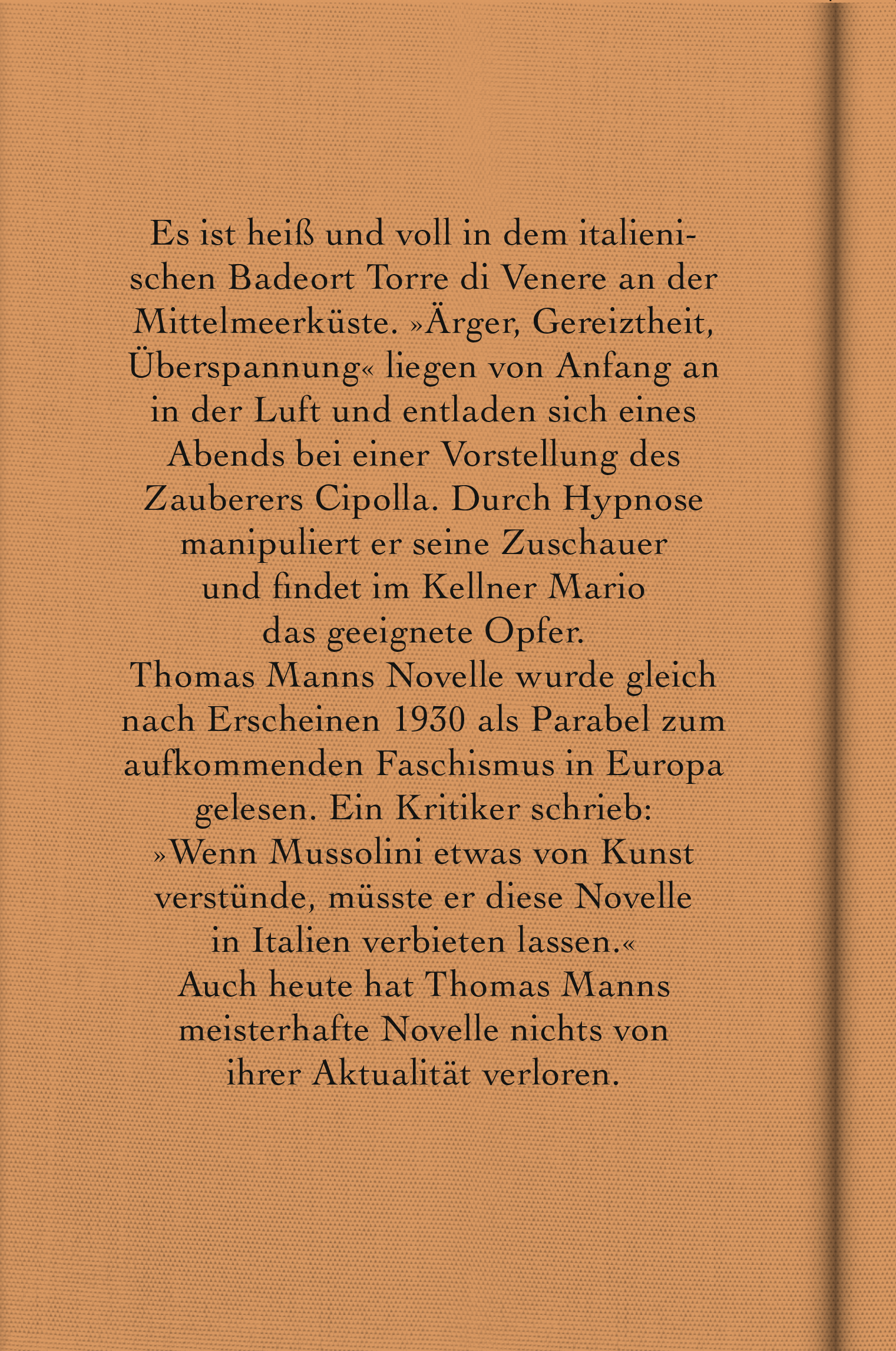 Rückseitencover Mario und der Zauberer