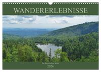 Wandererlebnisse im Bayrischen Wald (Wandkalender 2026 DIN A3 quer), CALVENDO Monatskalender