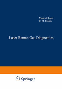 Laser Raman Gas Diagnostics
